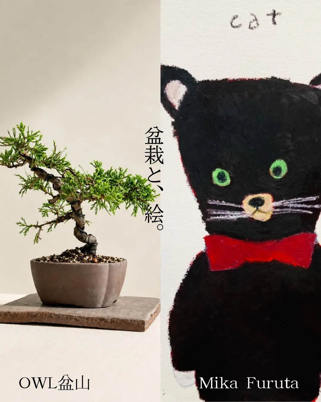 【作品展】OWL盆山×古田美香 「盆栽と、絵。」